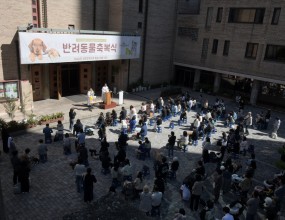 반려동물 축복식 사진 올립니다.  추가 사진은 네이버카페 빛사모 목동성당 사진첩에서 감상하실 수 있습니다. 카페주소 https://cafe.naver.com/mtcpic 