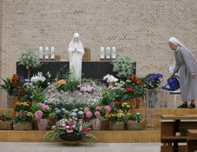 성모님의 밤  사진 올립니다.

추가 사진은 네이버카페 빛사모 목동성당 사진첩에서 감상하실 수 있습니다. 카페주소 https://cafe.naver.com/mtcpic